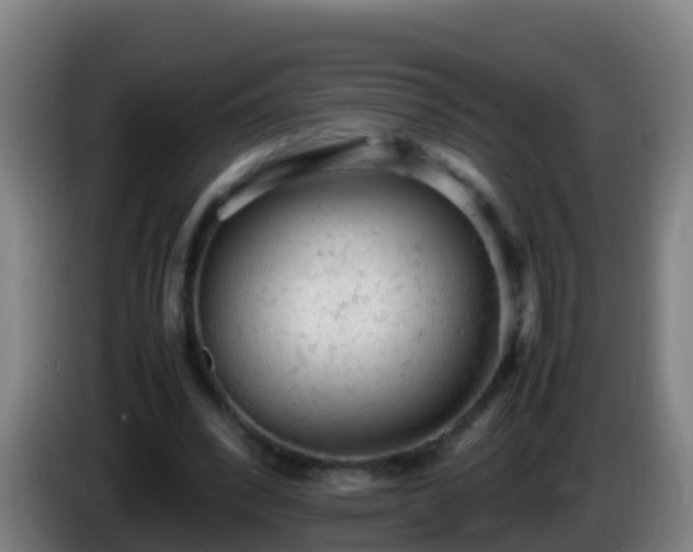 X0000086030392200703301059