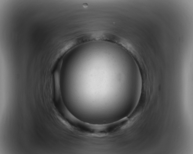 X0000086030393200703301059