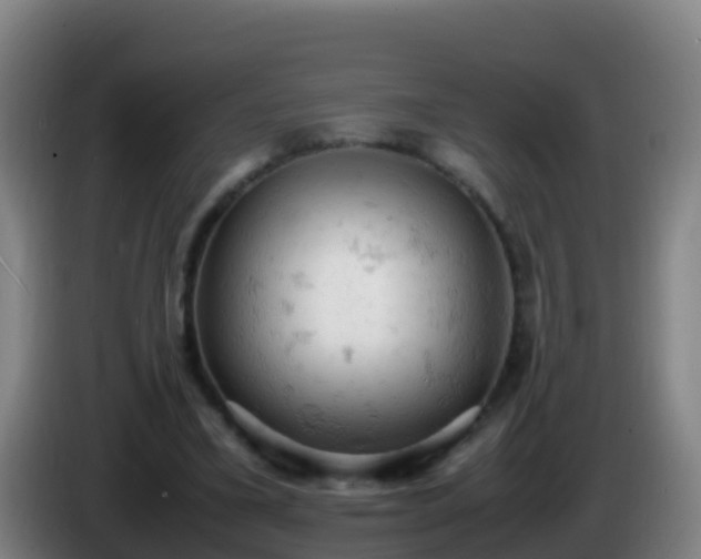 X0000086030395200703301059