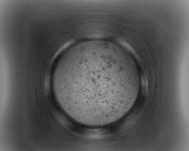 X0000086030396200703301059