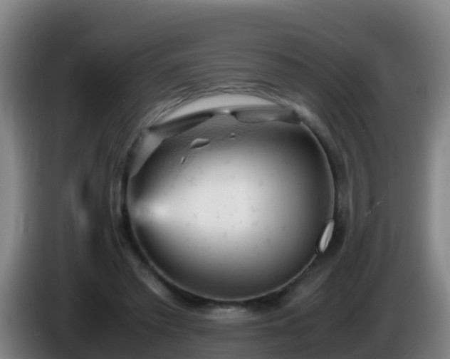 X0000086030397200703301059