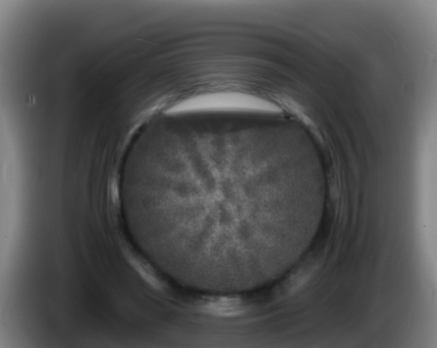 X0000086030398200703301059