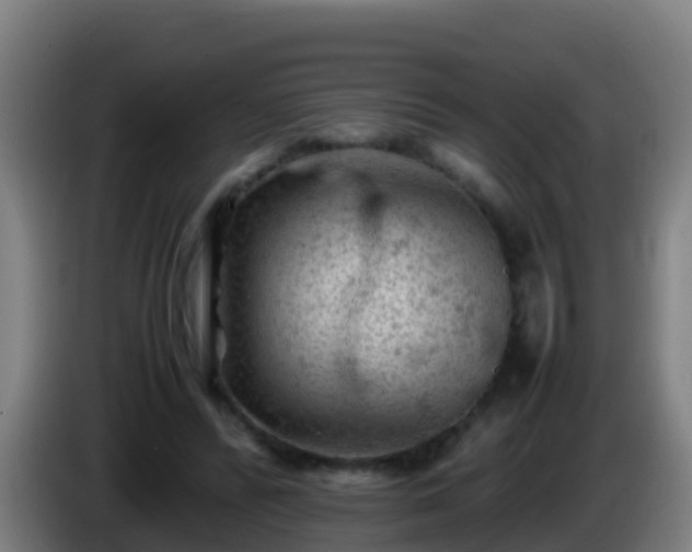 X0000086030400200703301059