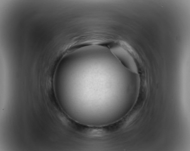 X0000086030401200703301059