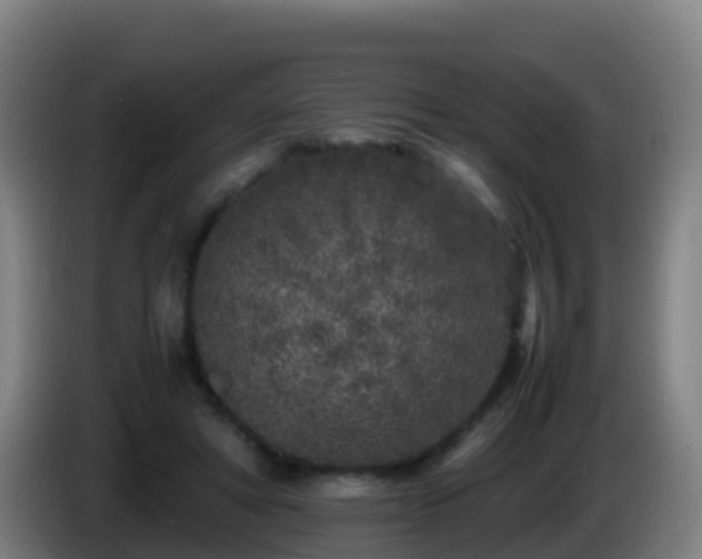 X0000086030402200703301058