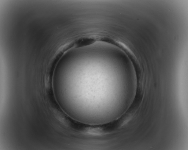 X0000086030403200703301058