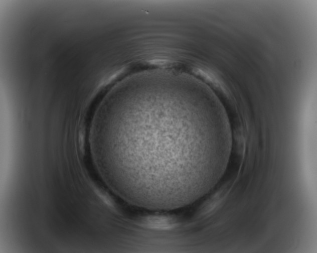 X0000086030404200703301058