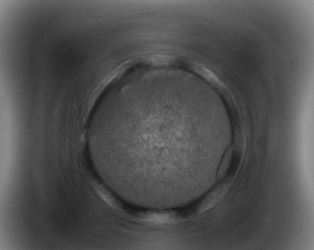 X0000086030405200703301058