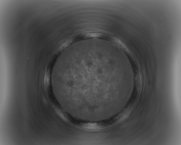 X0000086030406200703301058