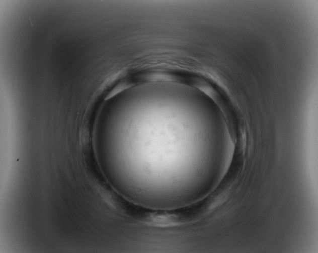 X0000086030407200703301058