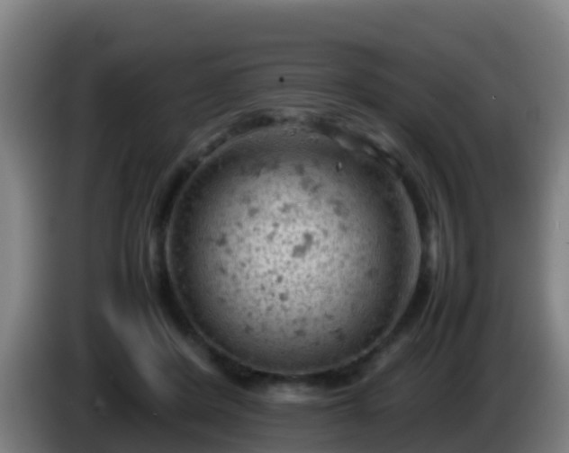 X0000086030408200703301058