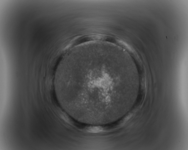 X0000086030409200703301058