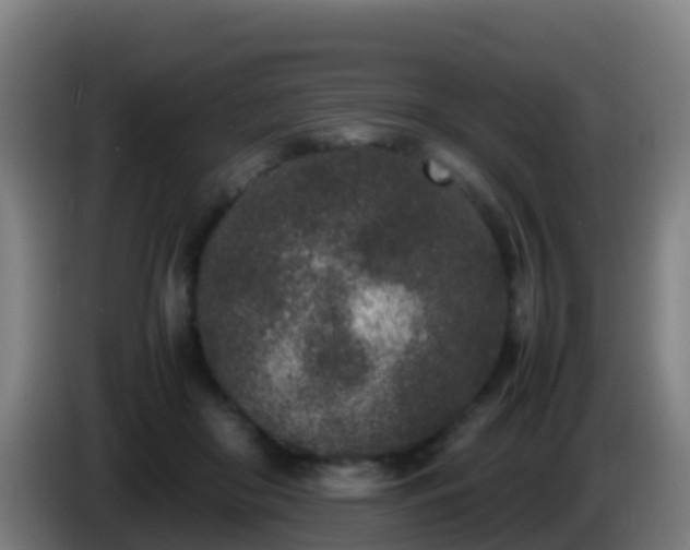 X0000086030410200703301058