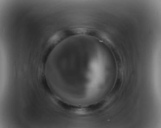 X0000086030411200703301058