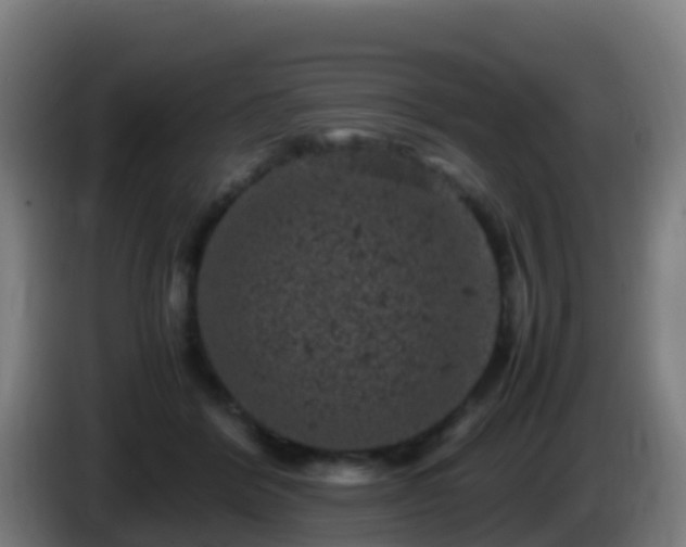 X0000086030412200703301058