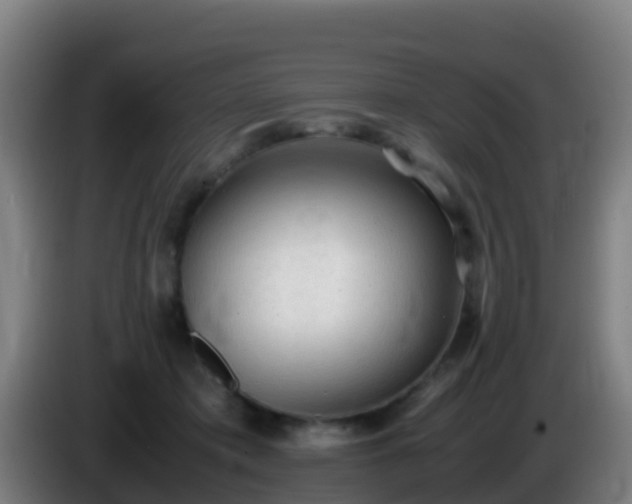 X0000086030413200703301058