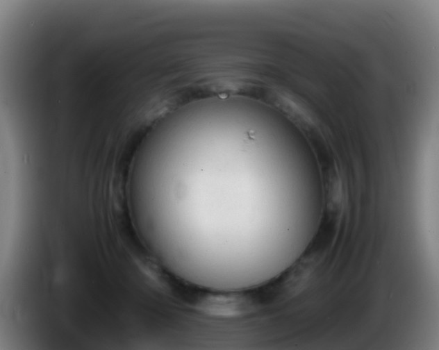 X0000086030414200703301058