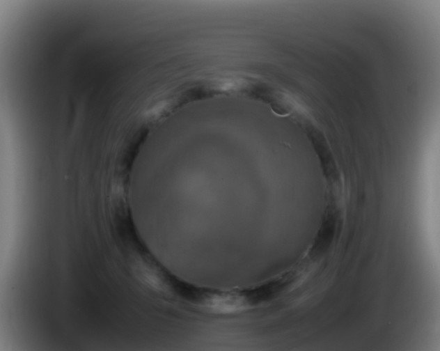 X0000086030415200703301058