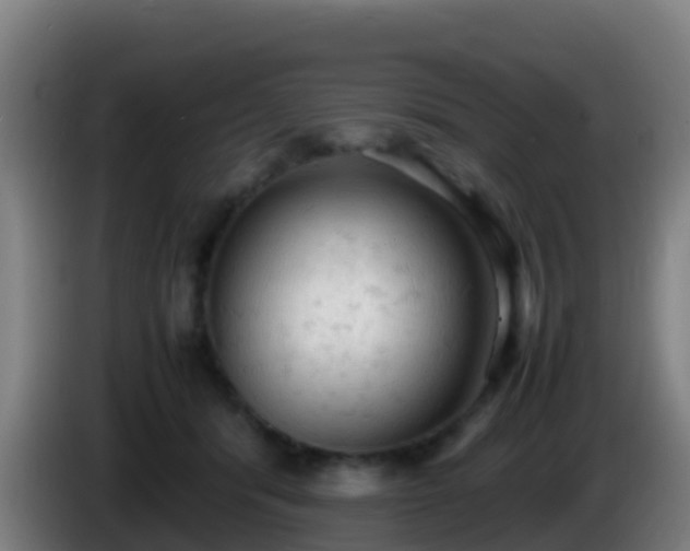 X0000086030416200703301058