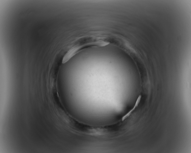 X0000086030417200703301058