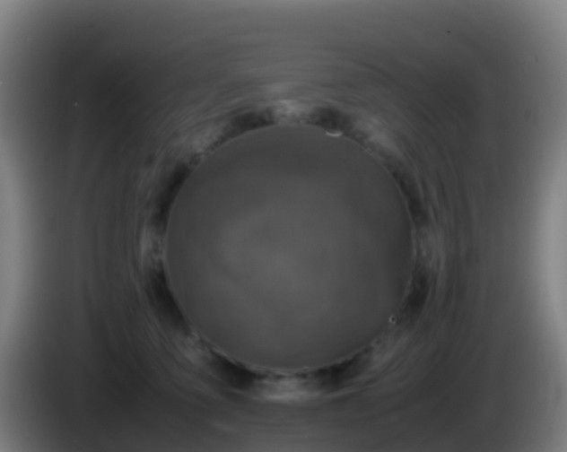 X0000086030419200703301058