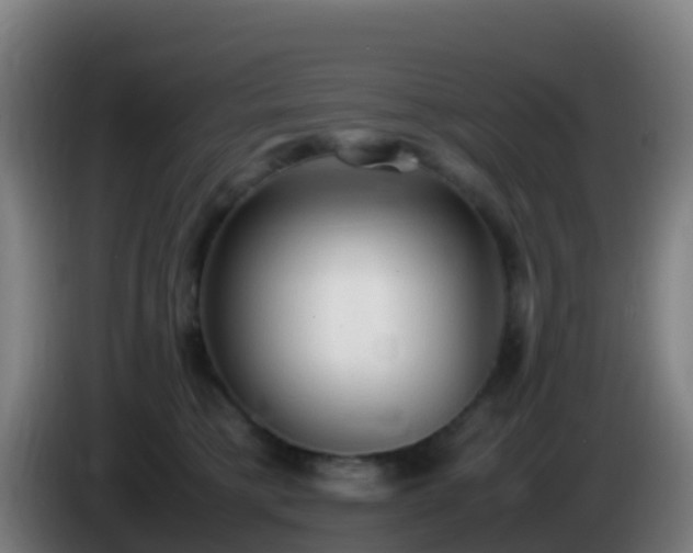 X0000086030421200703301058