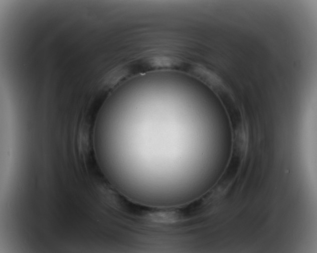 X0000086030422200703301058