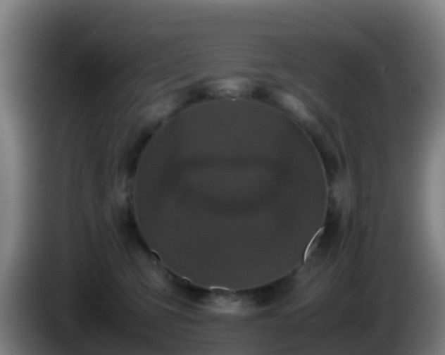 X0000086030423200703301058