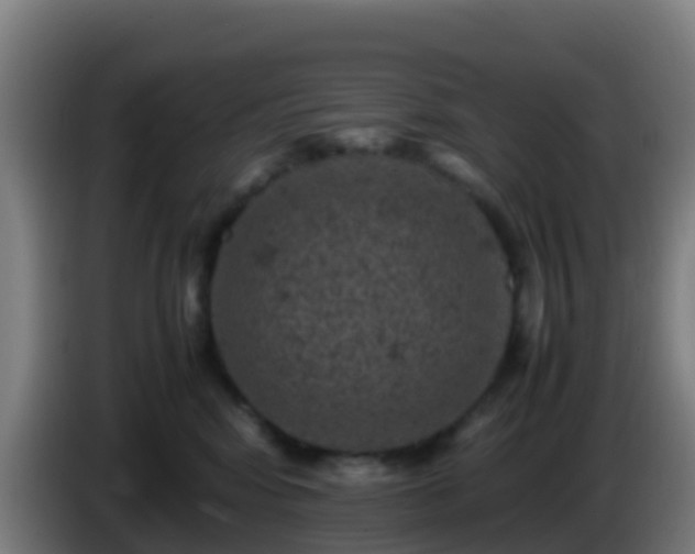 X0000086030424200703301058