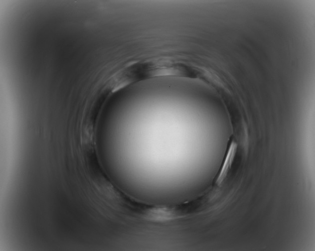 X0000086030425200703301058