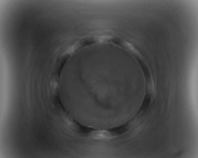 X0000086030427200703301058