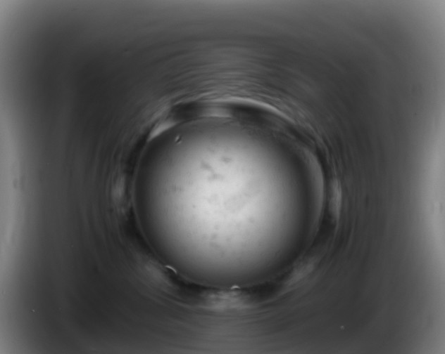 X0000086030428200703301058