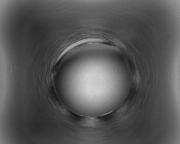 X0000086030429200703301058