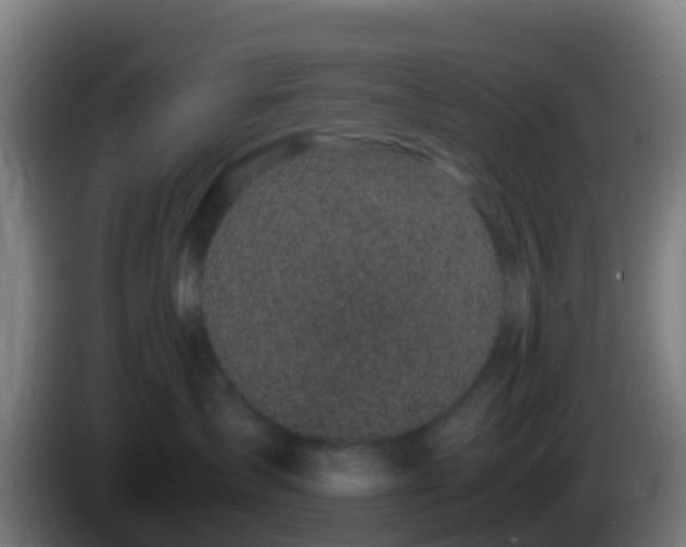 X0000086030431200703301058