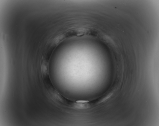 X0000086030432200703301058