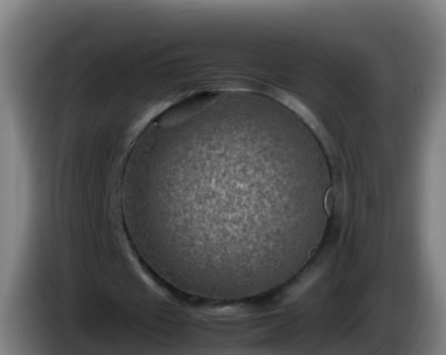 X0000086030433200703301057