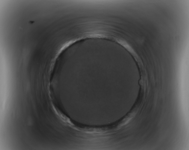 X0000086030434200703301057