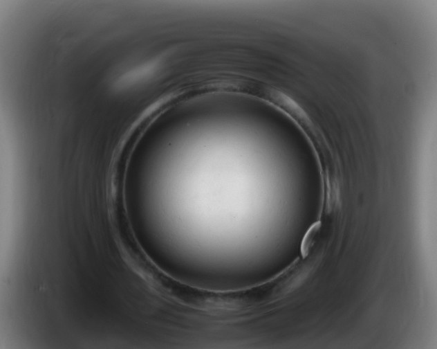 X0000086030435200703301057