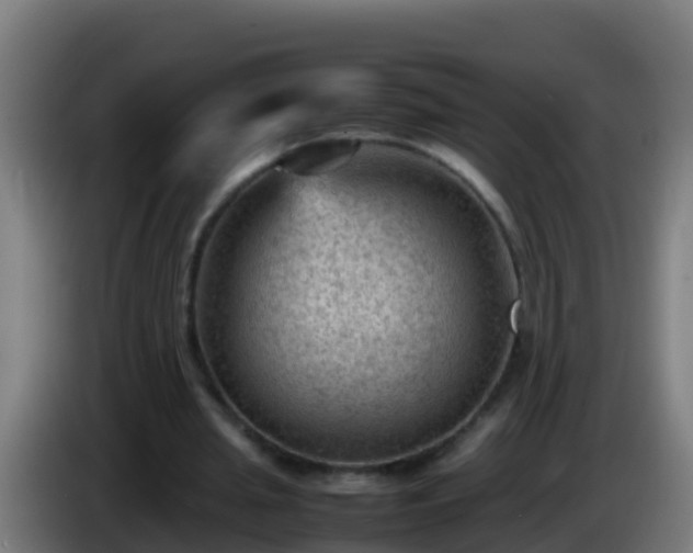 X0000086030437200703301057