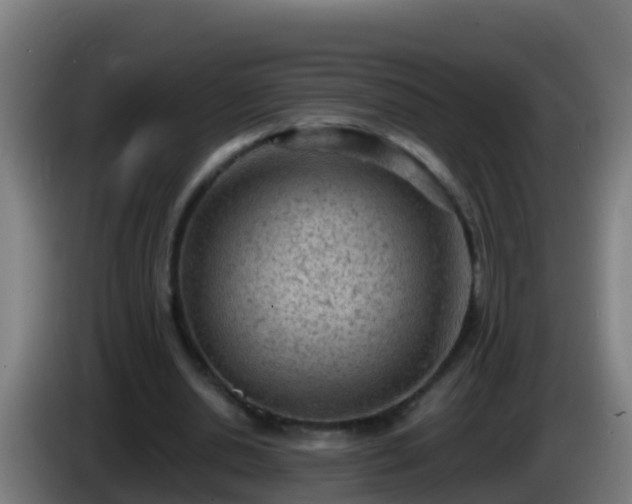 X0000086030438200703301057