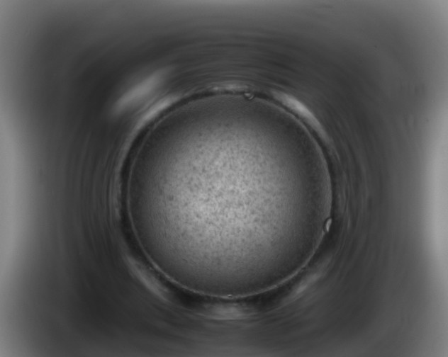 X0000086030439200703301057