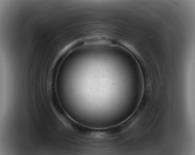 X0000086030440200703301058