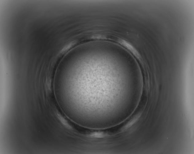 X0000086030441200703301058