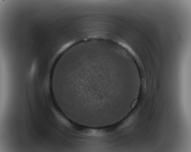 X0000086030442200703301058