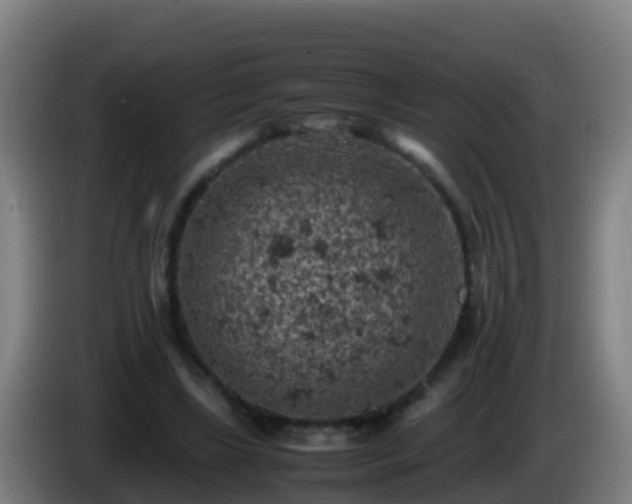 X0000086030443200703301058