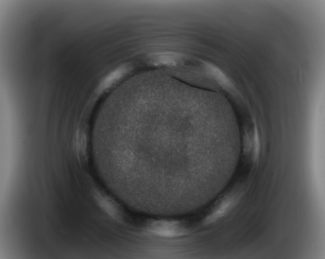 X0000086030444200703301058