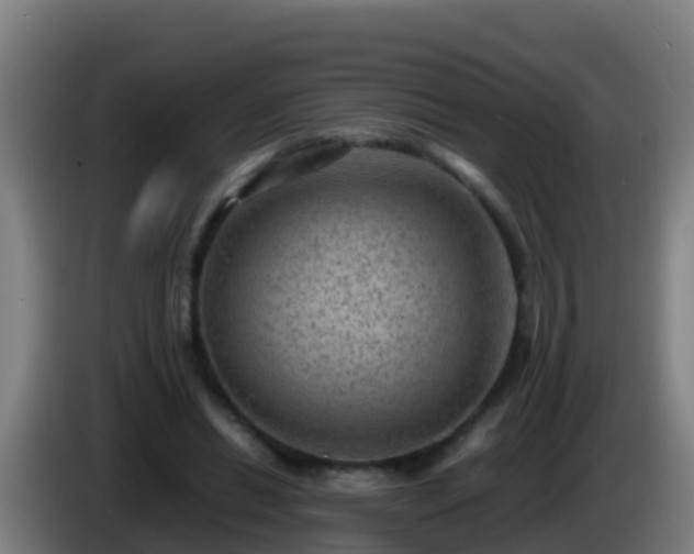 X0000086030446200703301058