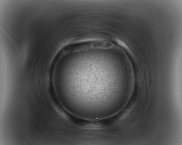 X0000086030447200703301058