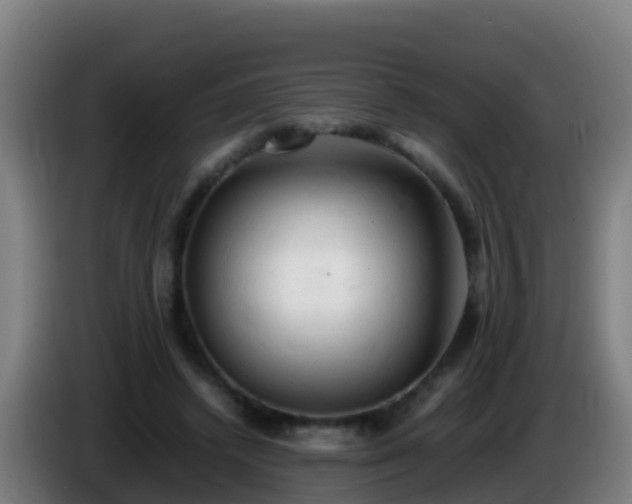 X0000086030448200703301058