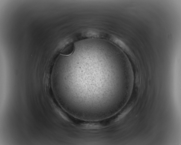 X0000086030449200703301058